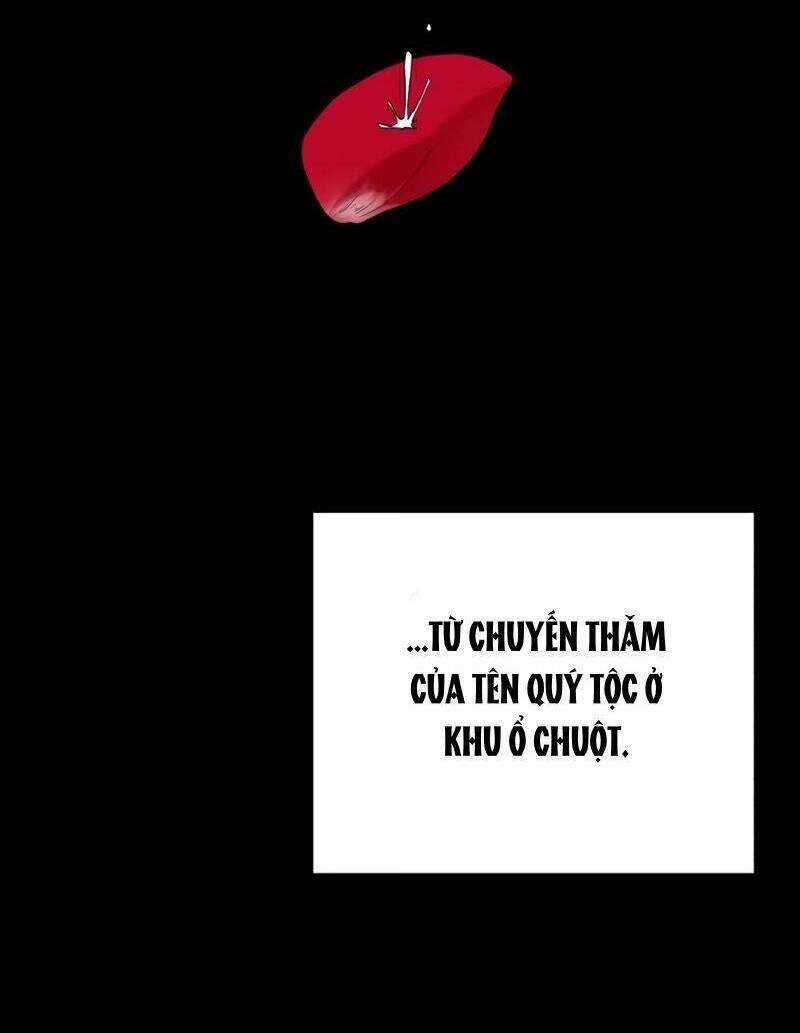 Cổ Vật Trong Hầm Tối Chapter 69 trang 12