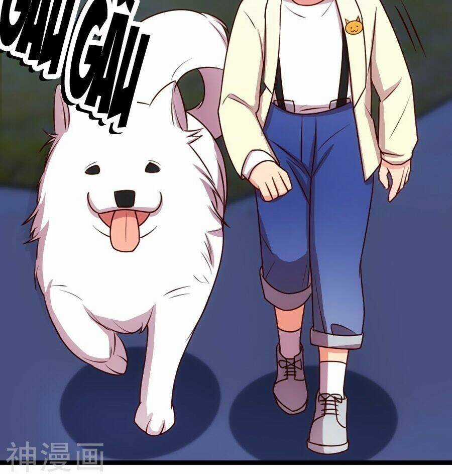 Cô Vợ Ấm Áp Của Hạ Thiếu Chapter 183 trang 17