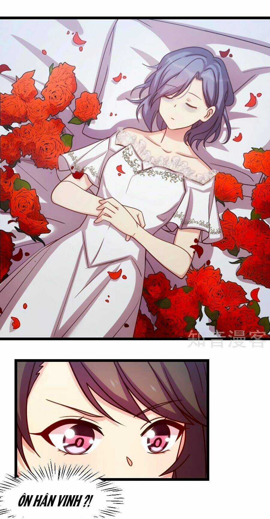 Cô Vợ Ấm Áp Của Hạ Thiếu Chapter 184 trang 16