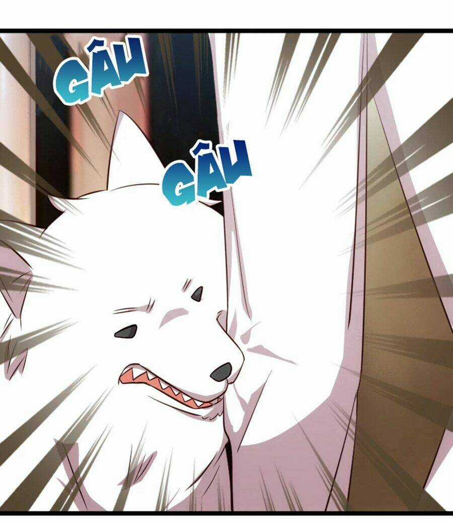 Cô Vợ Ấm Áp Của Hạ Thiếu Chapter 208 trang 8