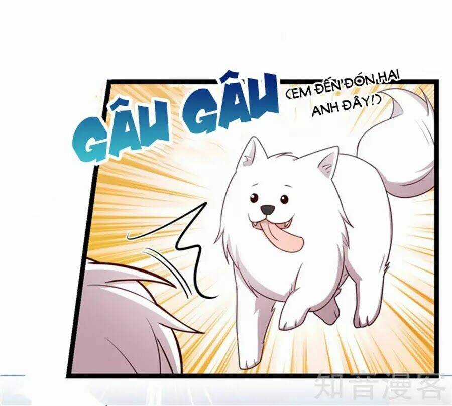 Cô Vợ Ấm Áp Của Hạ Thiếu Chapter 233 trang 28