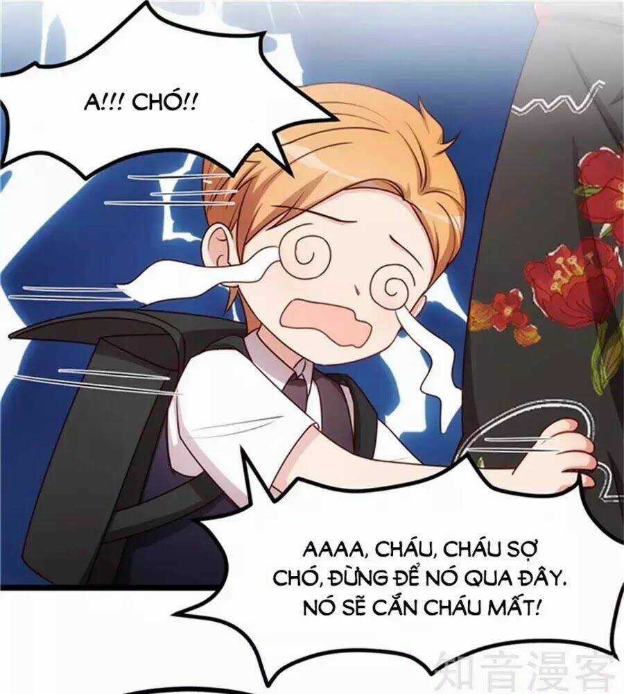 Cô Vợ Ấm Áp Của Hạ Thiếu Chapter 233 trang 29