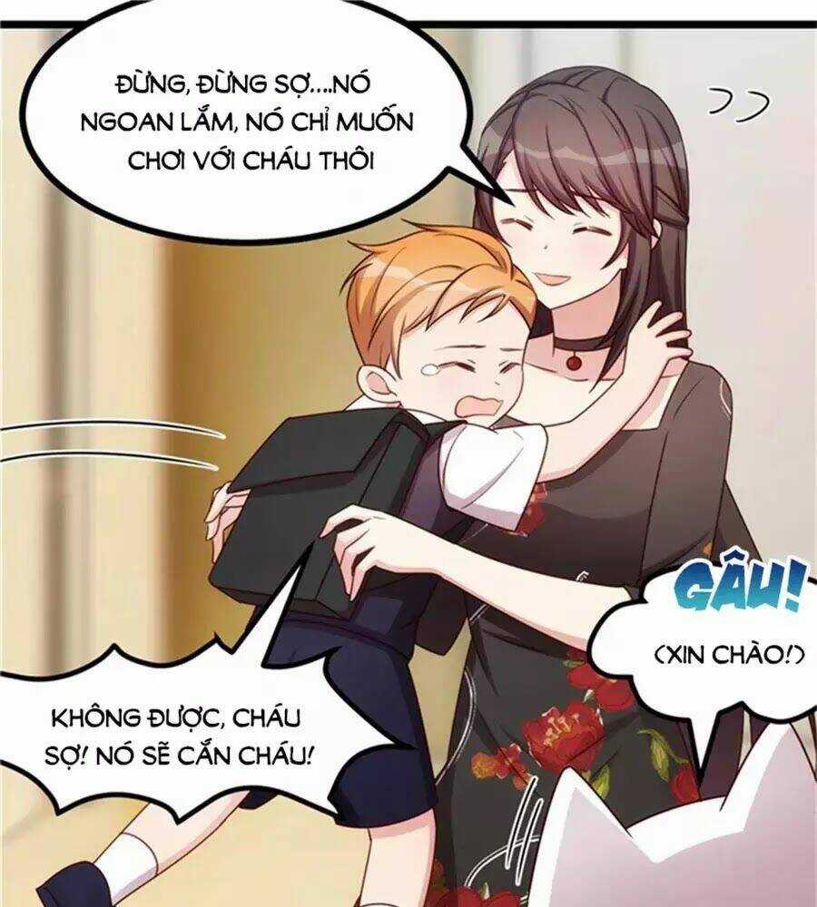 Cô Vợ Ấm Áp Của Hạ Thiếu Chapter 233 trang 31