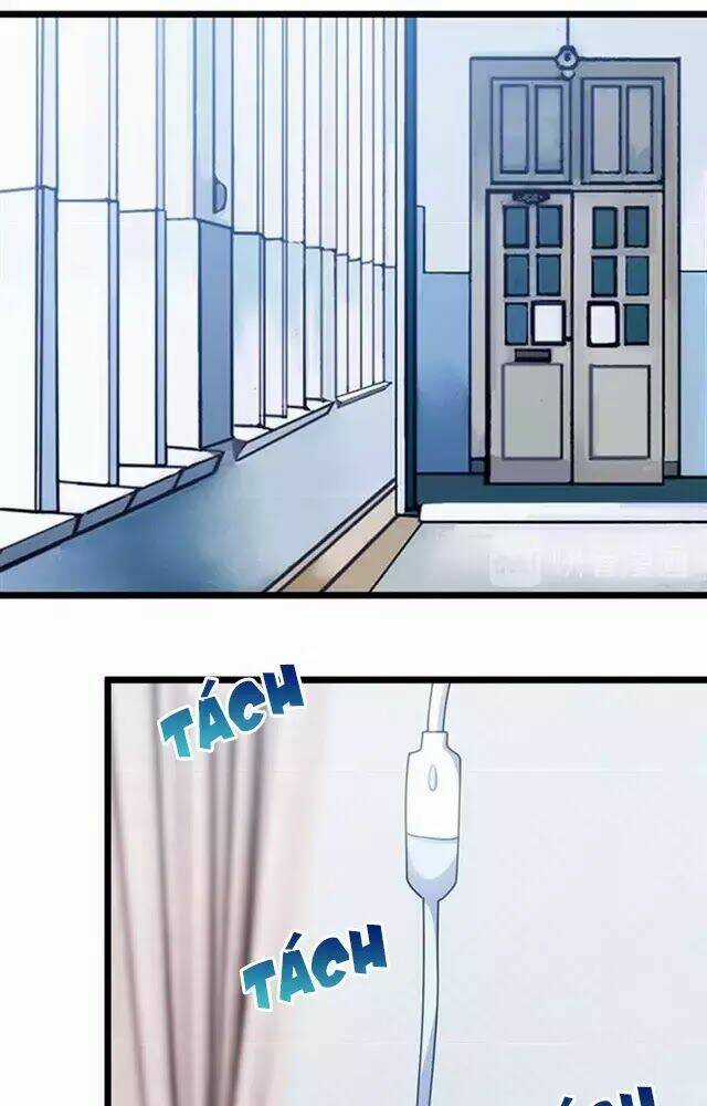 Cô Vợ Ấm Áp Của Hạ Thiếu Chapter 240 trang 10