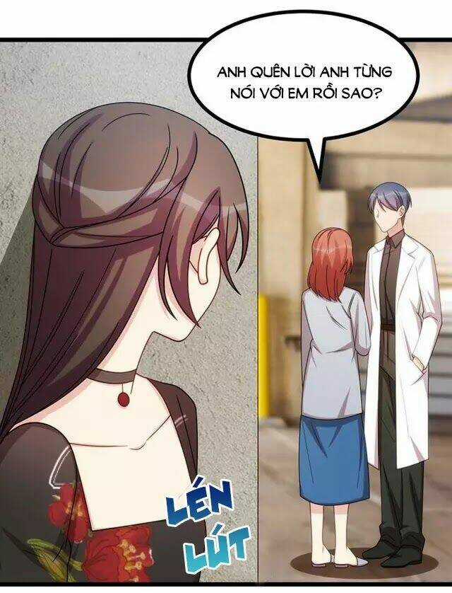 Cô Vợ Ấm Áp Của Hạ Thiếu Chapter 243 trang 11