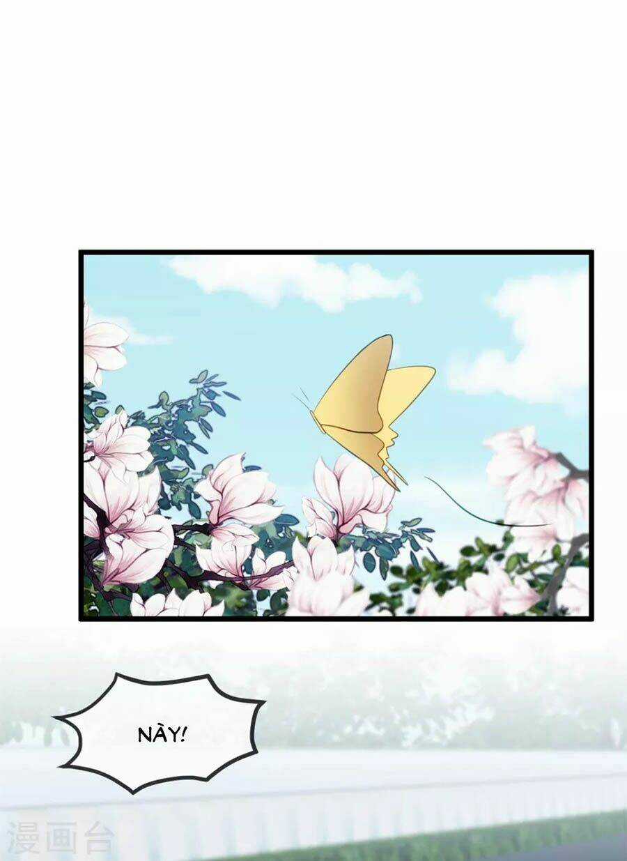 Cô Vợ Ấm Áp Của Hạ Thiếu Chapter 257 trang 25