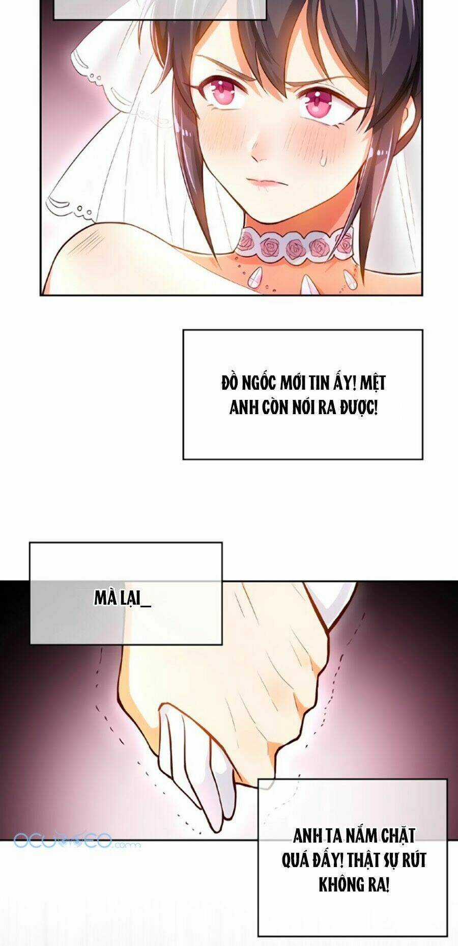 Cô Vợ Gả Thay Của Tổng Tài Cố Chấp Chapter 3 trang 12