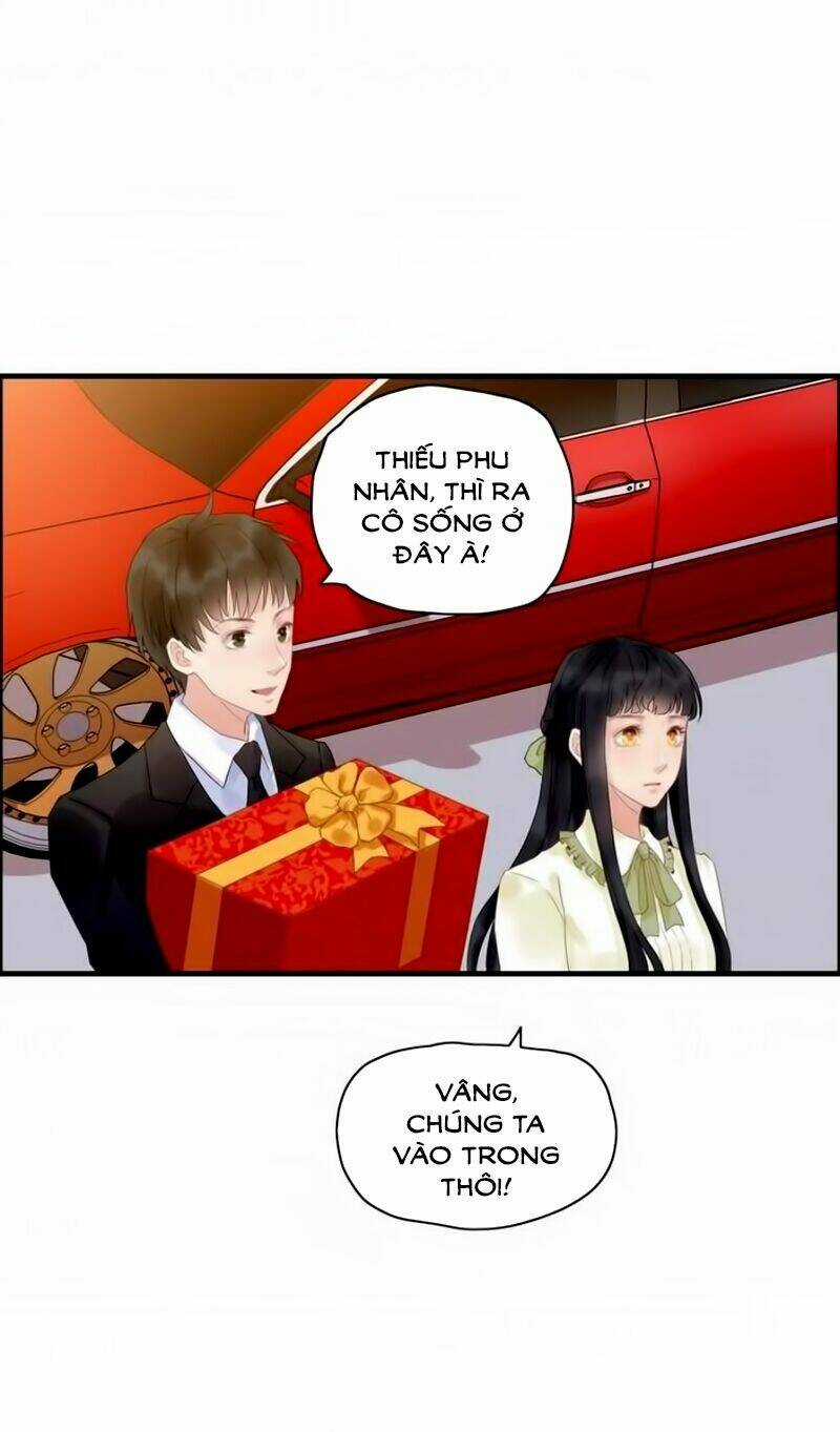 Cô Vợ Hợp Đồng Bỏ Trốn Của Tổng Giám Đốc Chapter 10 trang 23