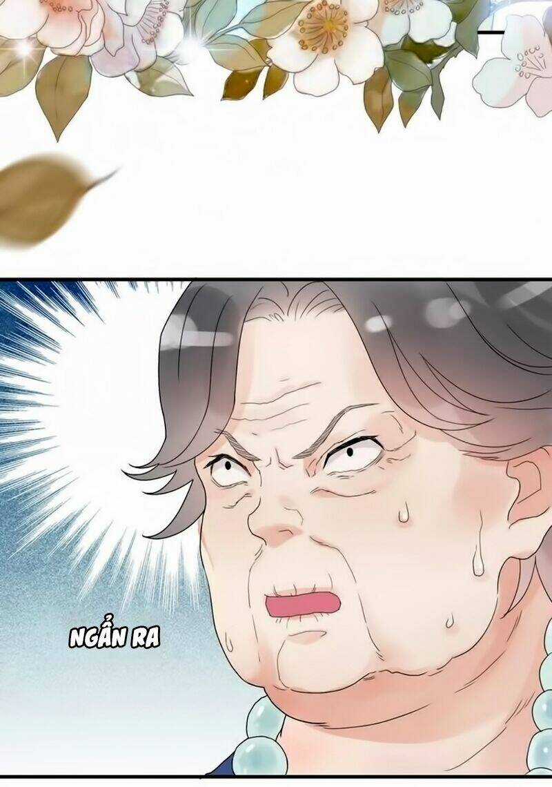 Cô Vợ Hợp Đồng Bỏ Trốn Của Tổng Giám Đốc Chapter 12 trang 10