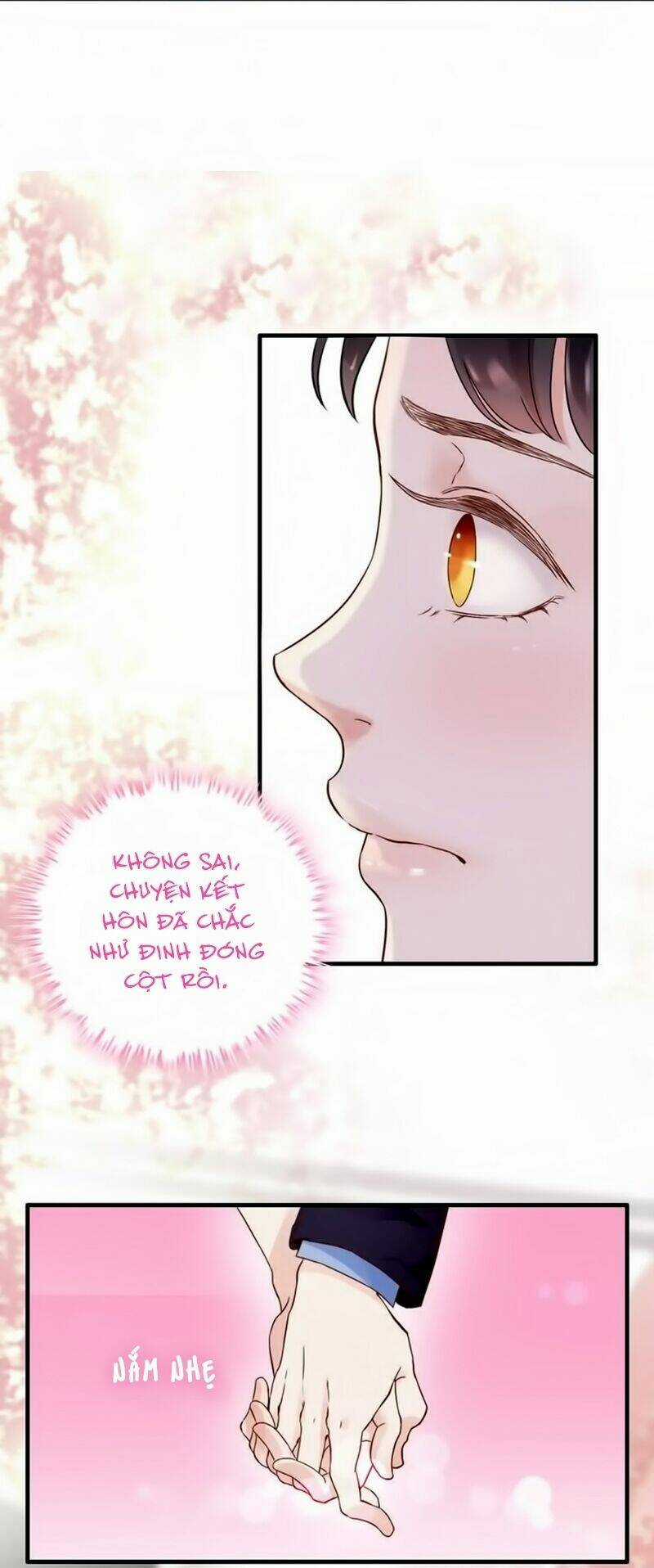 Cô Vợ Hợp Đồng Bỏ Trốn Của Tổng Giám Đốc Chapter 12 trang 27