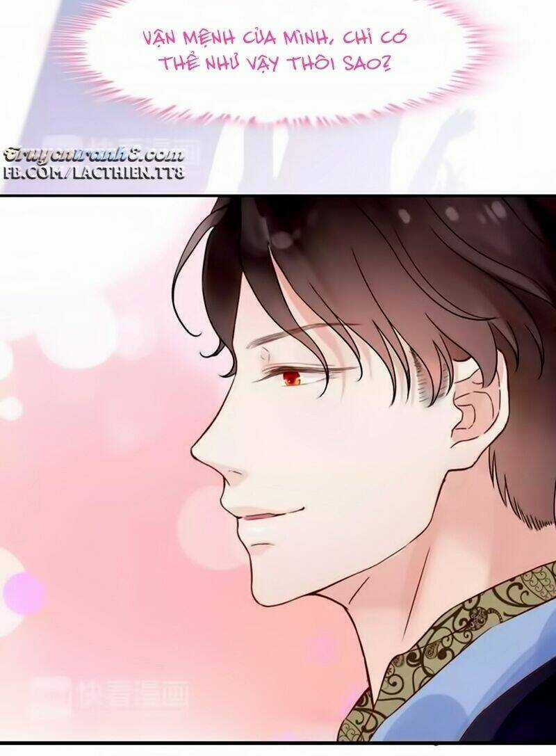 Cô Vợ Hợp Đồng Bỏ Trốn Của Tổng Giám Đốc Chapter 12 trang 29