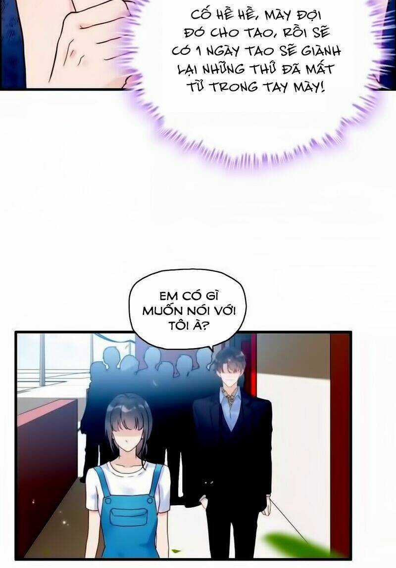 Cô Vợ Hợp Đồng Bỏ Trốn Của Tổng Giám Đốc Chapter 13 trang 20