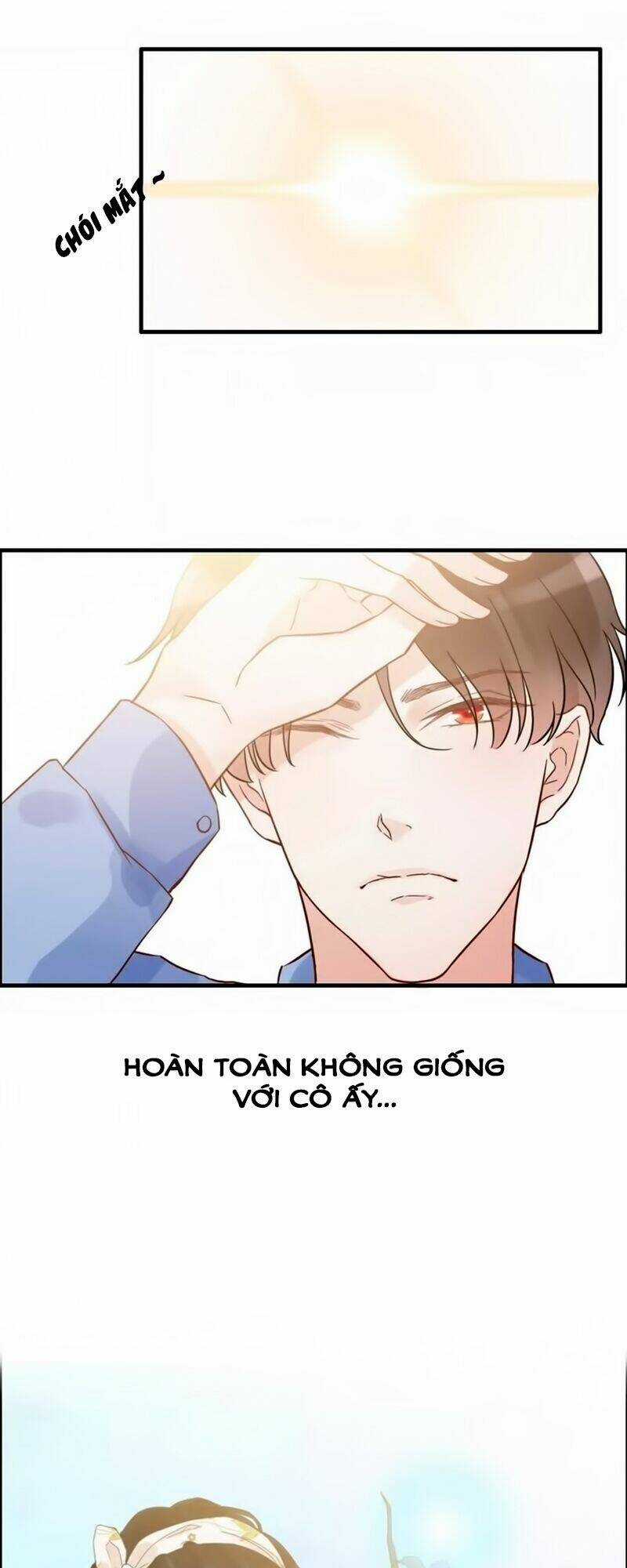 Cô Vợ Hợp Đồng Bỏ Trốn Của Tổng Giám Đốc Chapter 14 trang 11