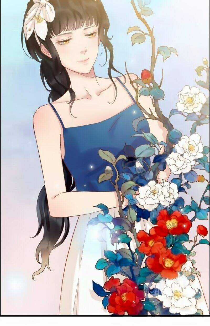 Cô Vợ Hợp Đồng Bỏ Trốn Của Tổng Giám Đốc Chapter 14 trang 12