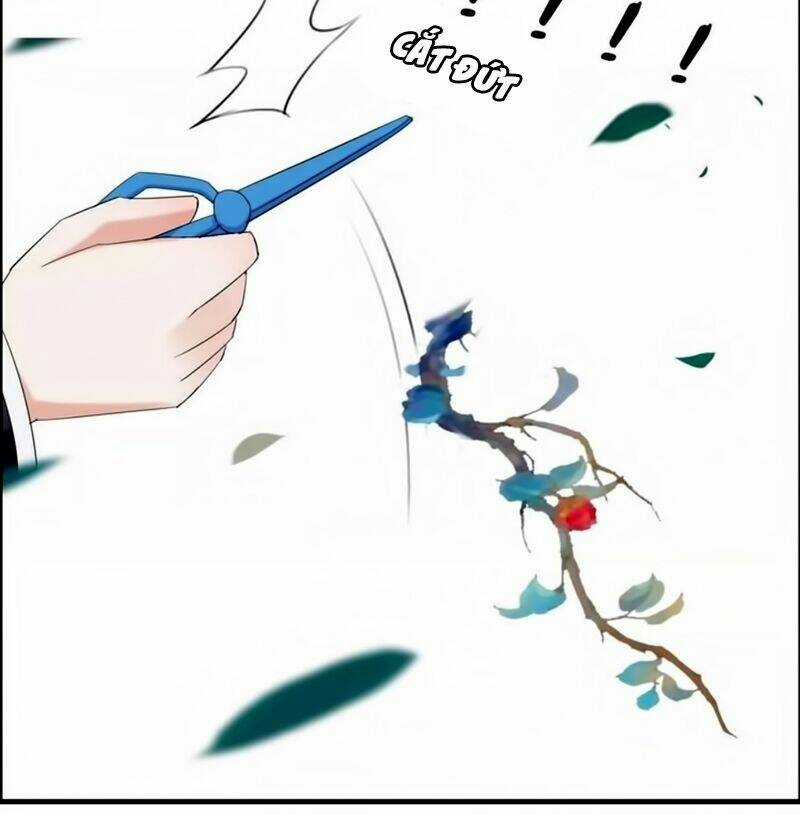 Cô Vợ Hợp Đồng Bỏ Trốn Của Tổng Giám Đốc Chapter 14 trang 24