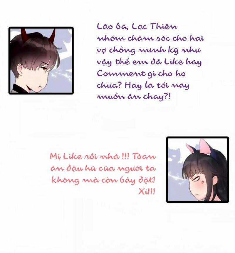 Cô Vợ Hợp Đồng Bỏ Trốn Của Tổng Giám Đốc Chapter 14 trang 33