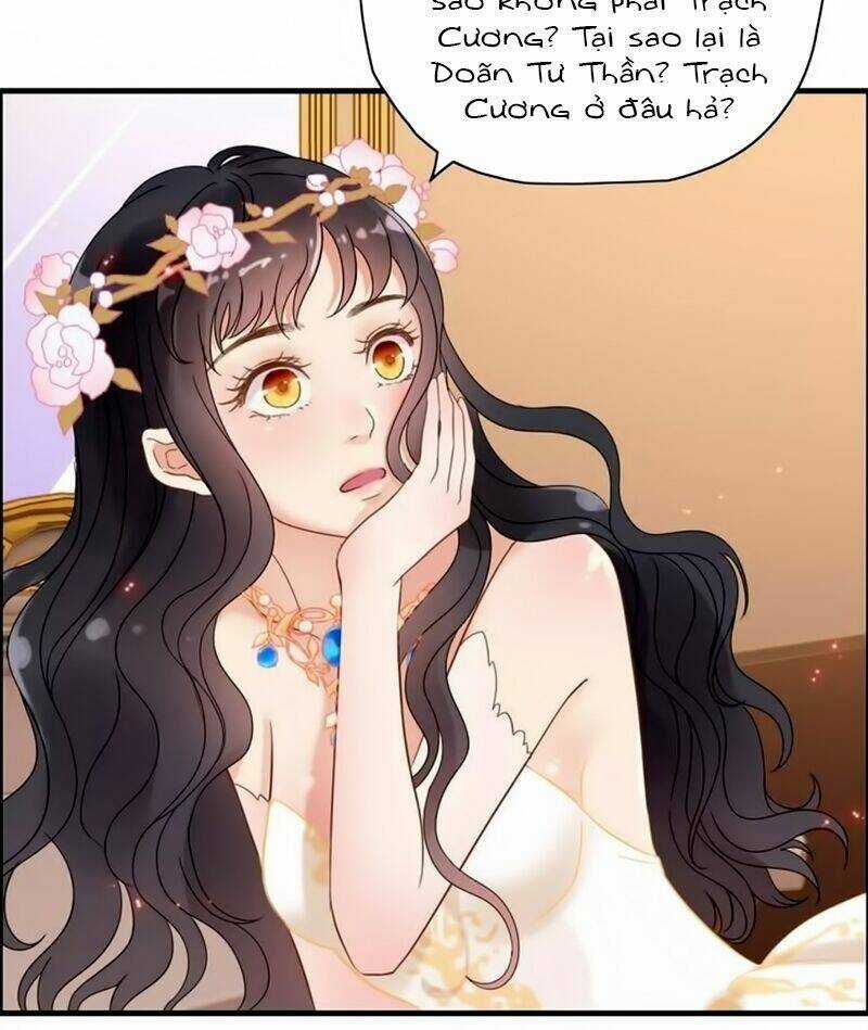 Cô Vợ Hợp Đồng Bỏ Trốn Của Tổng Giám Đốc Chapter 15 trang 15