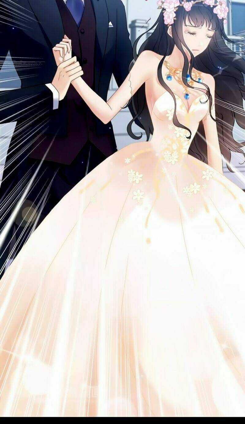 Cô Vợ Hợp Đồng Bỏ Trốn Của Tổng Giám Đốc Chapter 17 trang 13