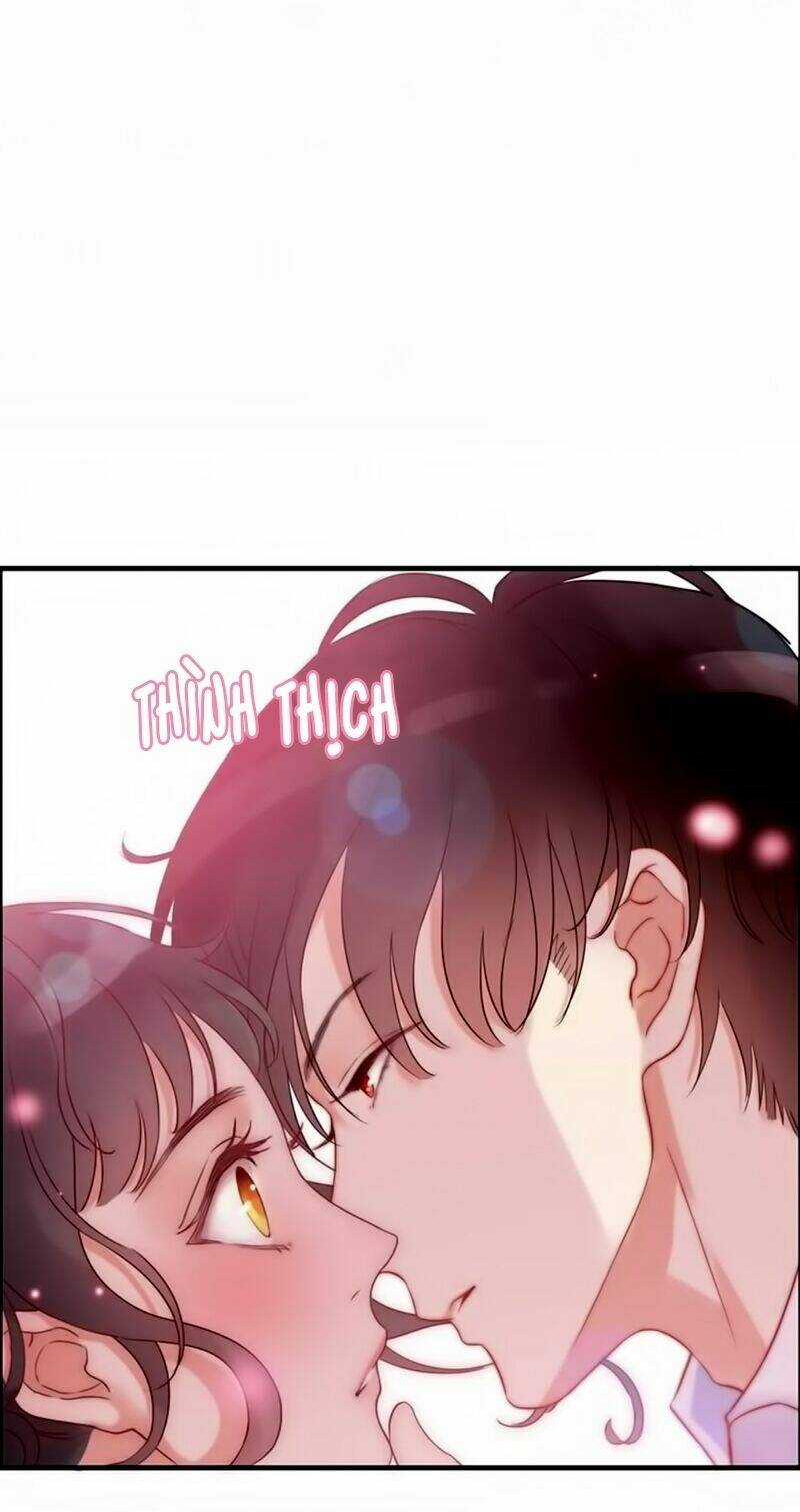 Cô Vợ Hợp Đồng Bỏ Trốn Của Tổng Giám Đốc Chapter 21 trang 3