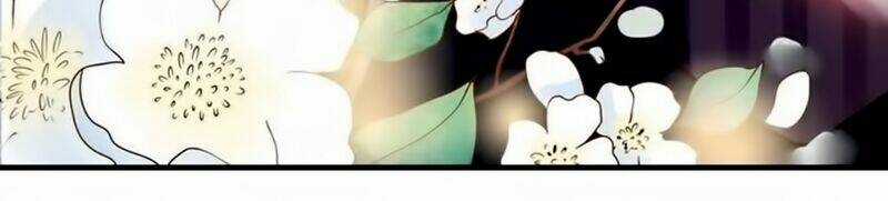 Cô Vợ Hợp Đồng Bỏ Trốn Của Tổng Giám Đốc Chapter 24 trang 15