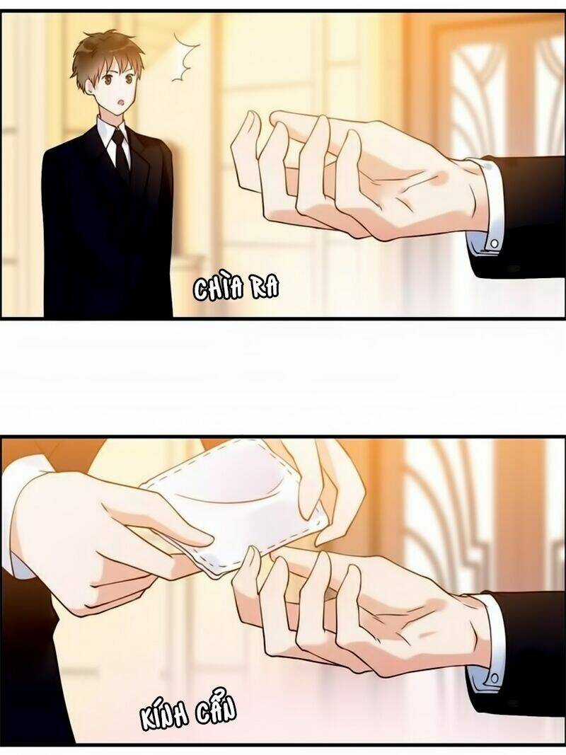 Cô Vợ Hợp Đồng Bỏ Trốn Của Tổng Giám Đốc Chapter 24 trang 5