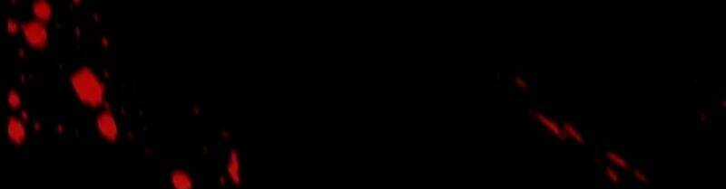 Cô Vợ Hợp Đồng Bỏ Trốn Của Tổng Giám Đốc Chapter 24 trang 8