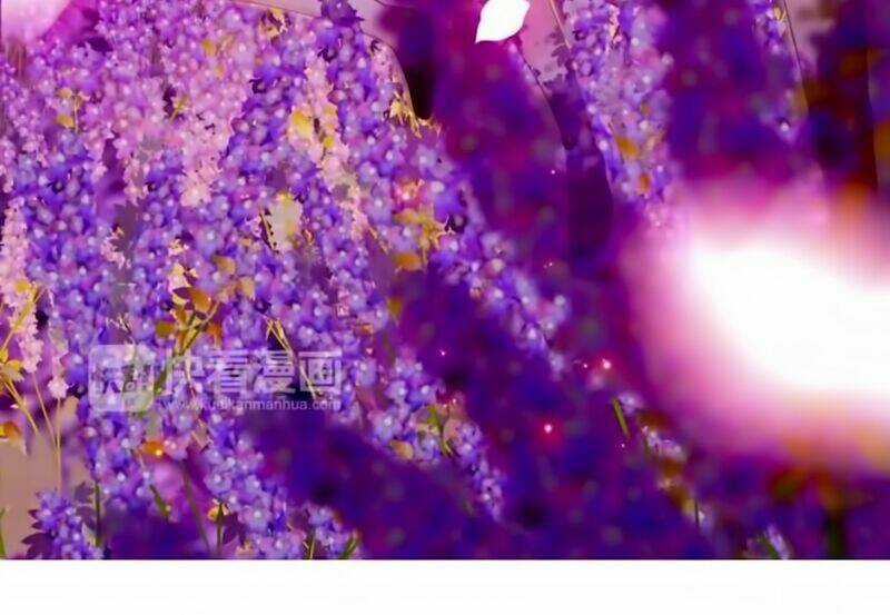 Cô Vợ Hợp Đồng Bỏ Trốn Của Tổng Giám Đốc Chapter 26 trang 10