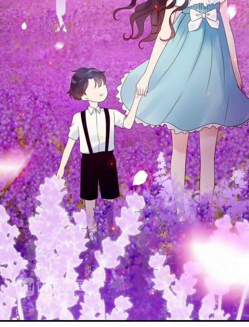 Cô Vợ Hợp Đồng Bỏ Trốn Của Tổng Giám Đốc Chapter 26 trang 12