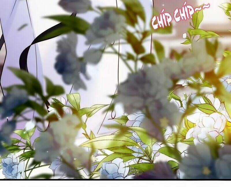 Cô Vợ Hợp Đồng Bỏ Trốn Của Tổng Giám Đốc Chapter 26 trang 26