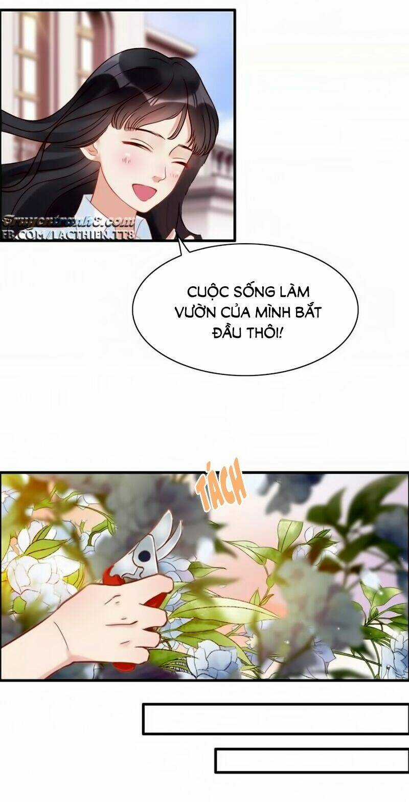 Cô Vợ Hợp Đồng Bỏ Trốn Của Tổng Giám Đốc Chapter 26 trang 27