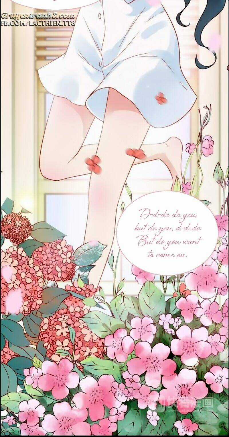 Cô Vợ Hợp Đồng Bỏ Trốn Của Tổng Giám Đốc Chapter 26 trang 33