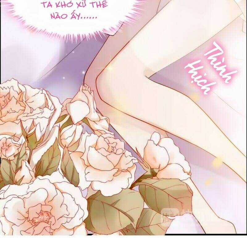 Cô Vợ Hợp Đồng Bỏ Trốn Của Tổng Giám Đốc Chapter 27 trang 26