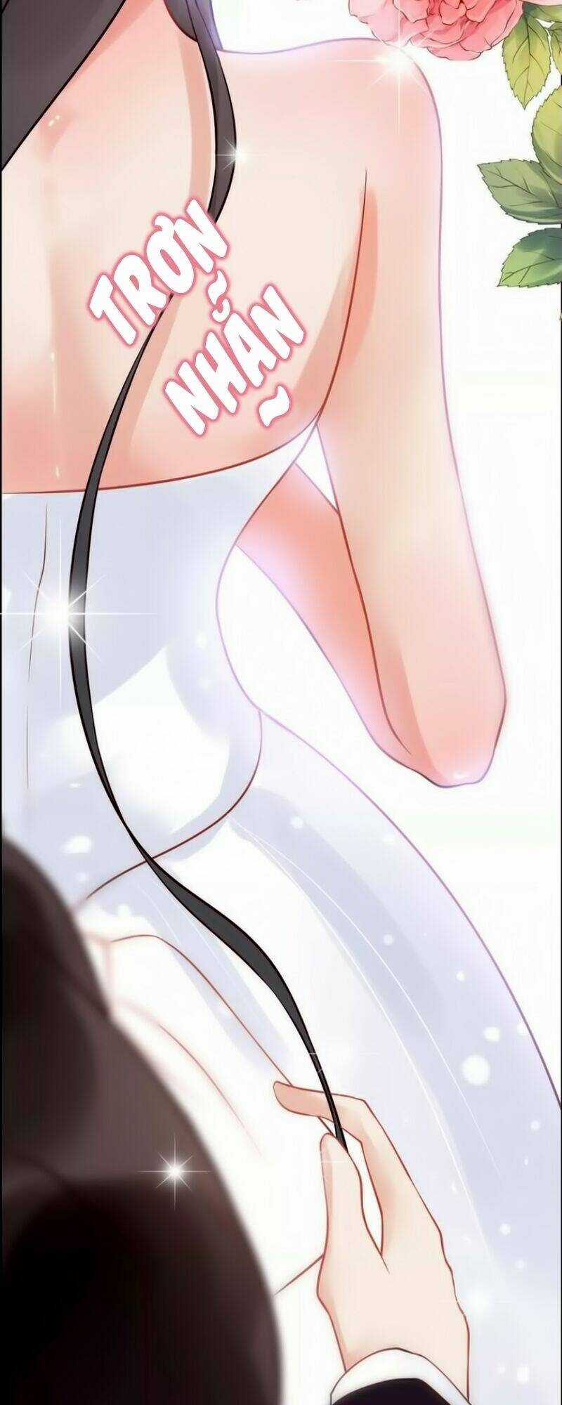 Cô Vợ Hợp Đồng Bỏ Trốn Của Tổng Giám Đốc Chapter 30 trang 15