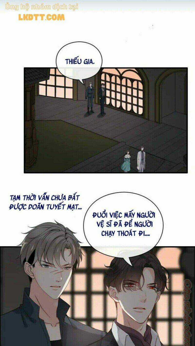 Cô Vợ Hợp Đồng Bỏ Trốn Của Tổng Giám Đốc Chapter 365 trang 1
