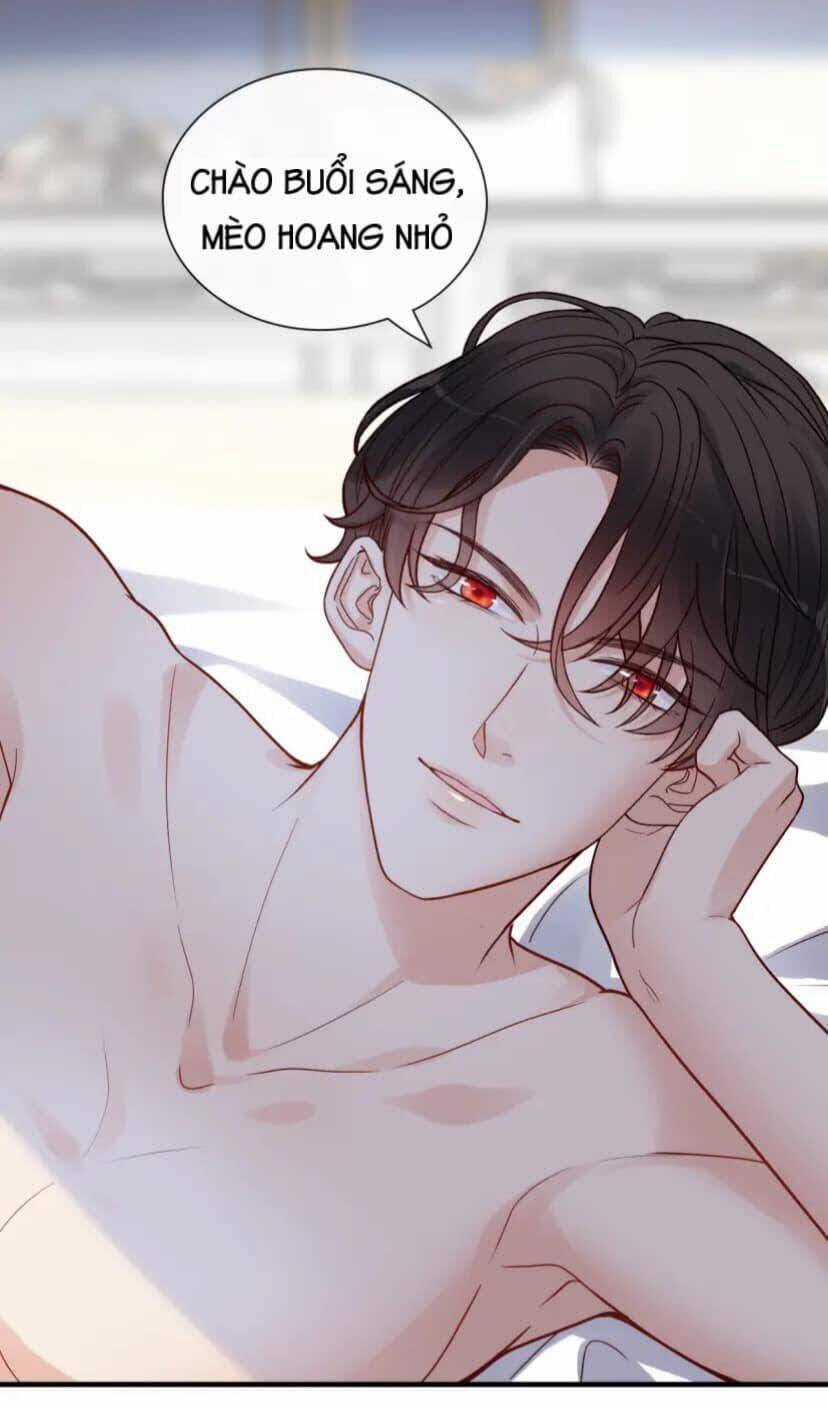 Cô Vợ Hợp Đồng Bỏ Trốn Của Tổng Giám Đốc Chapter 395.5 trang 1