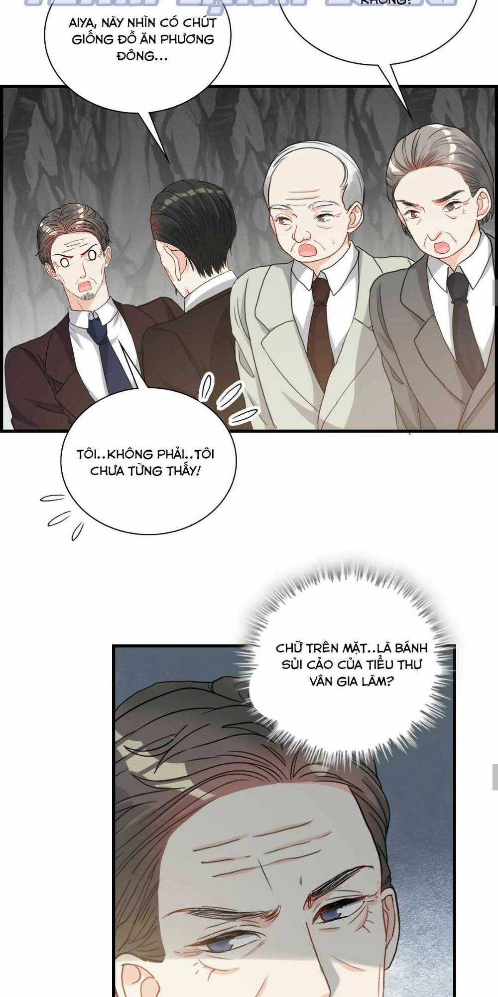 Cô Vợ Hợp Đồng Bỏ Trốn Của Tổng Giám Đốc Chapter 460 trang 13