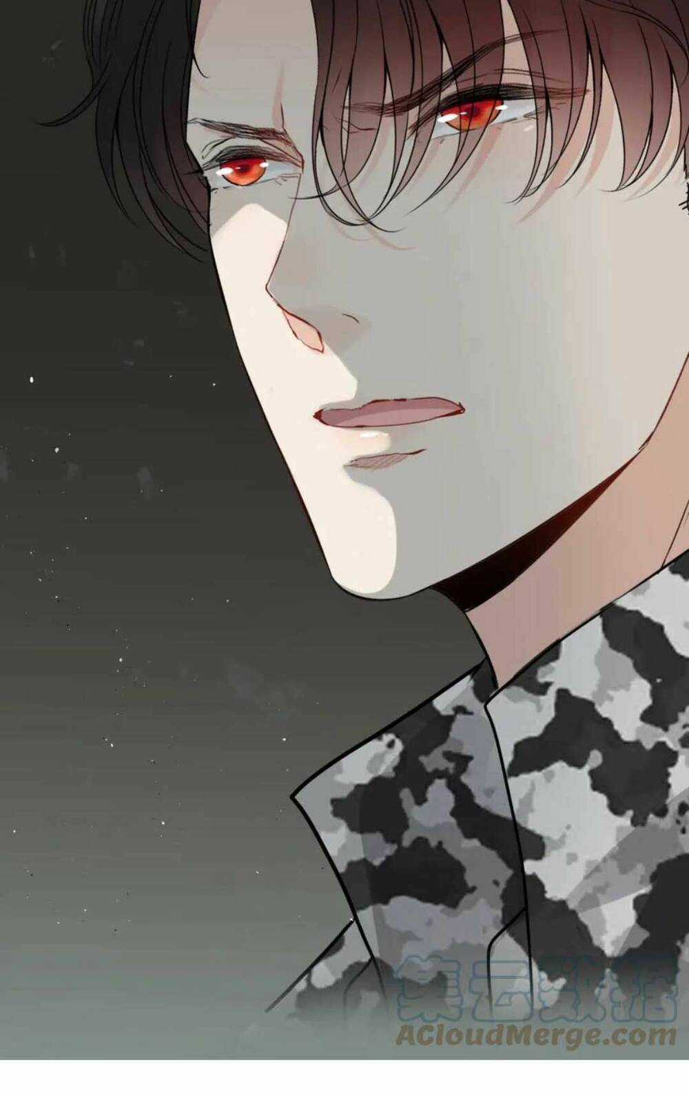 Cô Vợ Hợp Đồng Bỏ Trốn Của Tổng Giám Đốc Chapter 462 trang 34