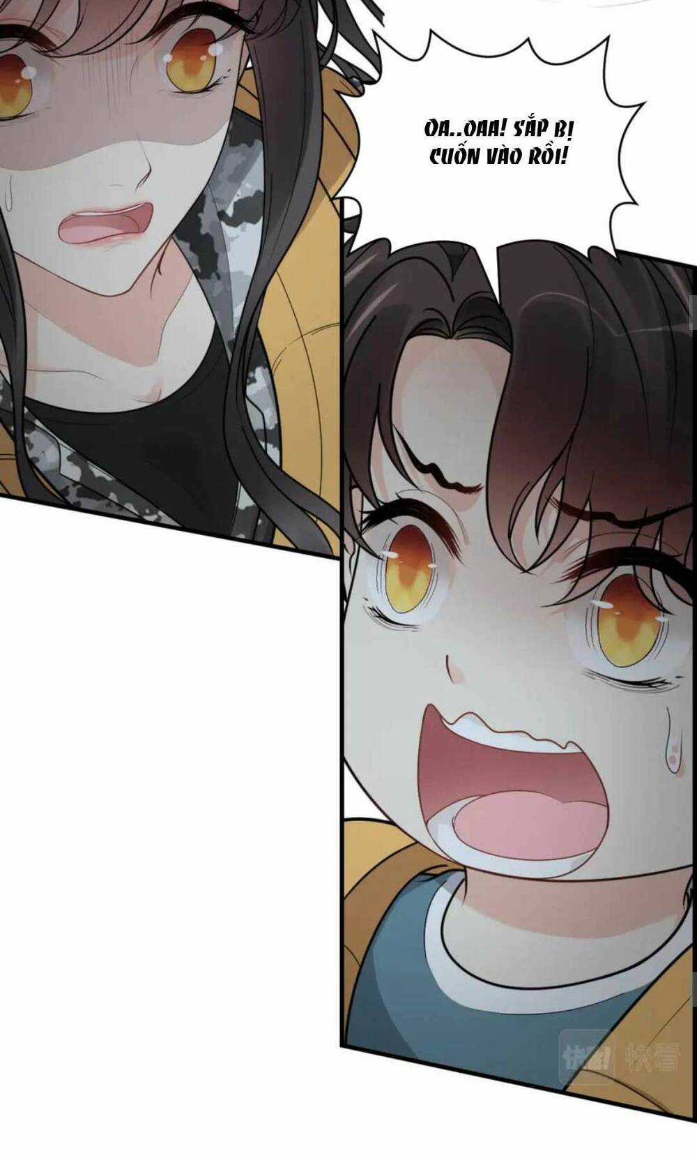 Cô Vợ Hợp Đồng Bỏ Trốn Của Tổng Giám Đốc Chapter 466 trang 22