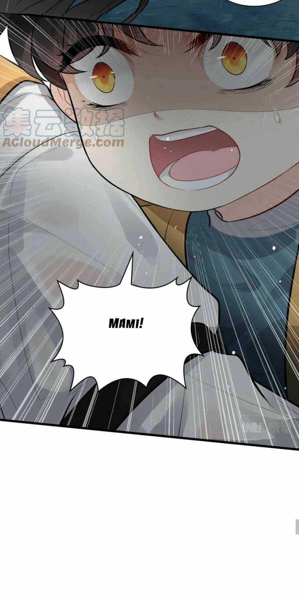 Cô Vợ Hợp Đồng Bỏ Trốn Của Tổng Giám Đốc Chapter 466 trang 29