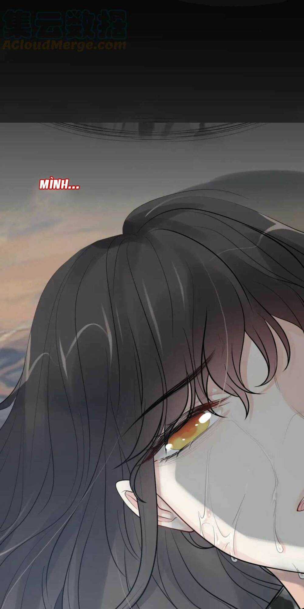 Cô Vợ Hợp Đồng Bỏ Trốn Của Tổng Giám Đốc Chapter 468 trang 11