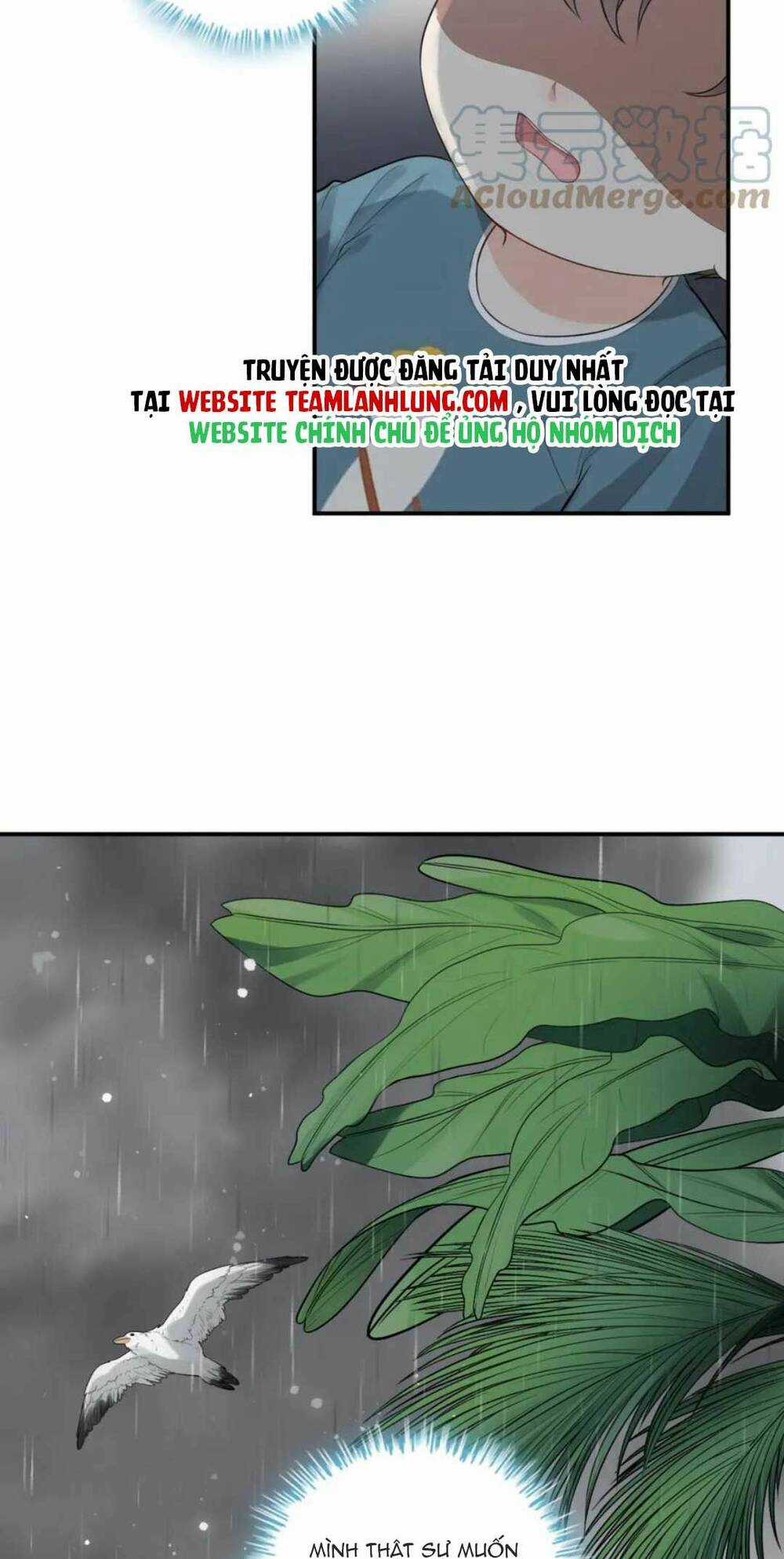 Cô Vợ Hợp Đồng Bỏ Trốn Của Tổng Giám Đốc Chapter 470 trang 44