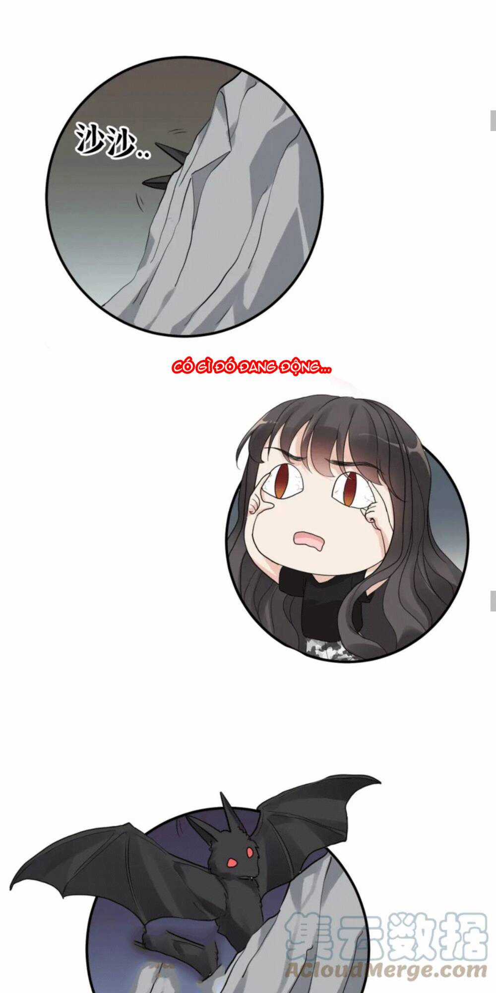 Cô Vợ Hợp Đồng Bỏ Trốn Của Tổng Giám Đốc Chapter 472 trang 20