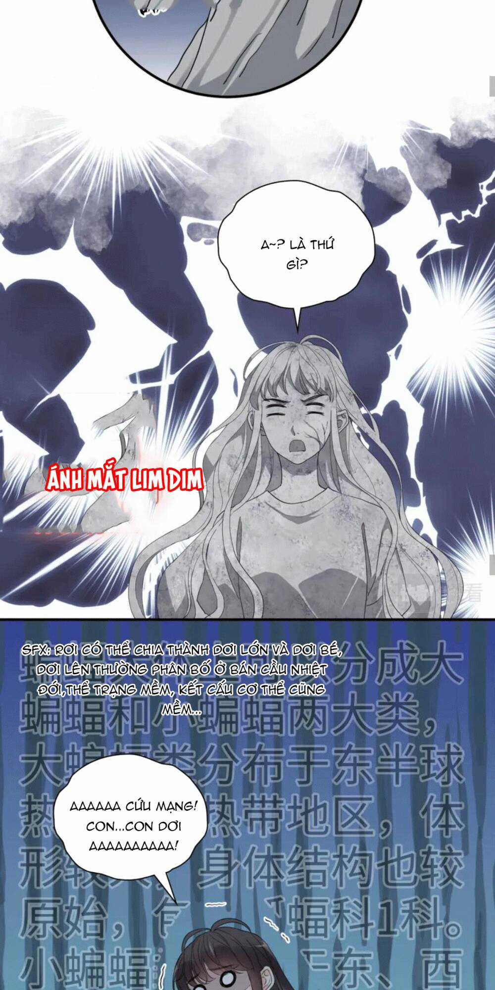 Cô Vợ Hợp Đồng Bỏ Trốn Của Tổng Giám Đốc Chapter 472 trang 21