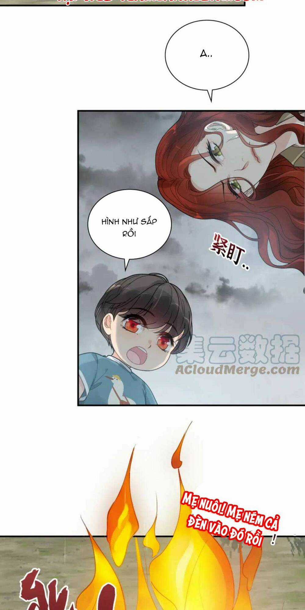 Cô Vợ Hợp Đồng Bỏ Trốn Của Tổng Giám Đốc Chapter 475 trang 17