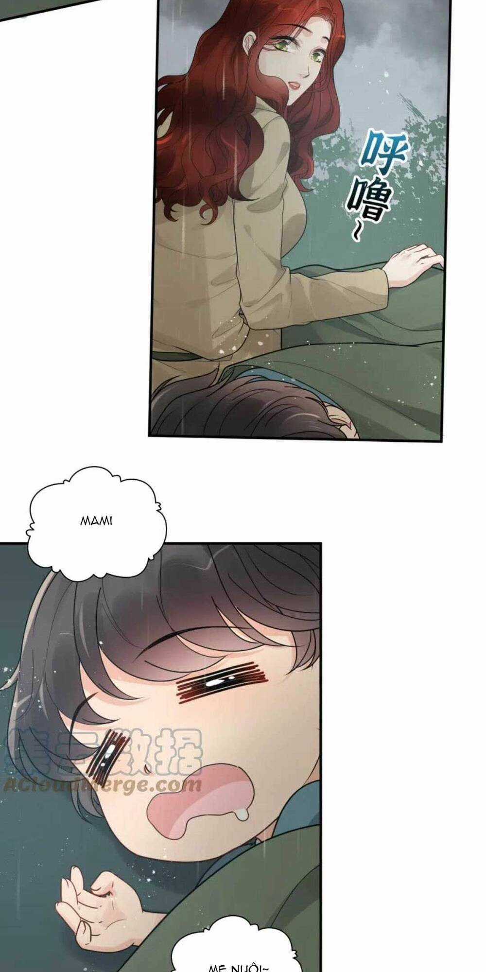 Cô Vợ Hợp Đồng Bỏ Trốn Của Tổng Giám Đốc Chapter 475 trang 5