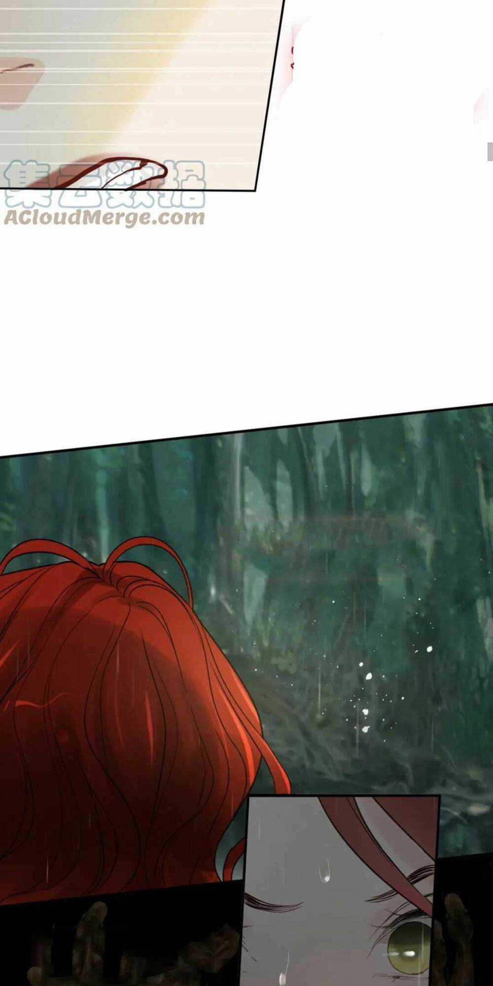 Cô Vợ Hợp Đồng Bỏ Trốn Của Tổng Giám Đốc Chapter 477 trang 42