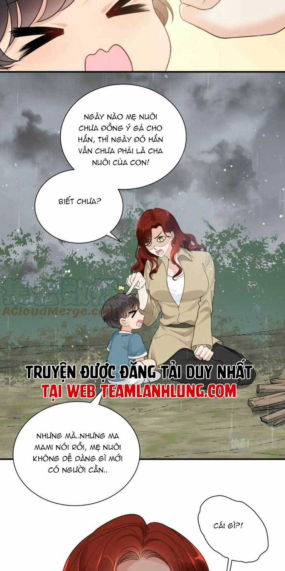 Cô Vợ Hợp Đồng Bỏ Trốn Của Tổng Giám Đốc Chapter 477 trang 5