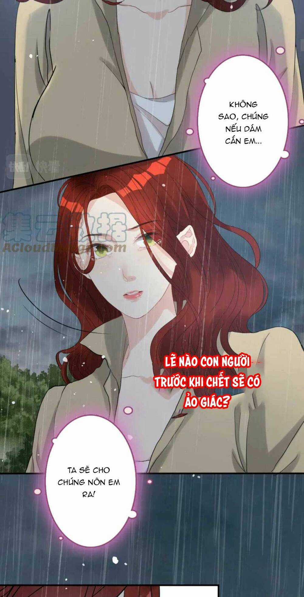Cô Vợ Hợp Đồng Bỏ Trốn Của Tổng Giám Đốc Chapter 478 trang 29