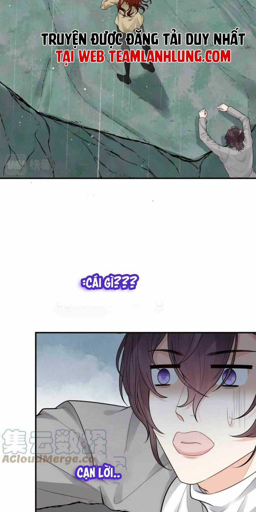 Cô Vợ Hợp Đồng Bỏ Trốn Của Tổng Giám Đốc Chapter 479 trang 10