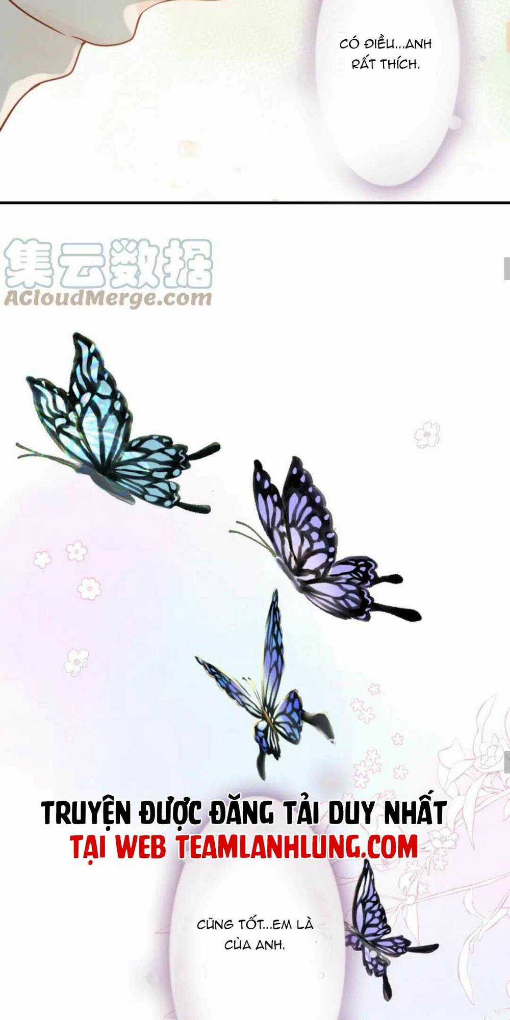 Cô Vợ Hợp Đồng Bỏ Trốn Của Tổng Giám Đốc Chapter 479 trang 19